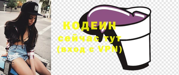 хмурый Верея