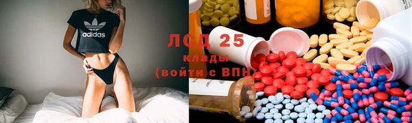 хмурый Верея