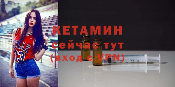 хмурый Верея
