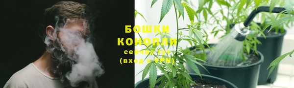 mdpv Бородино