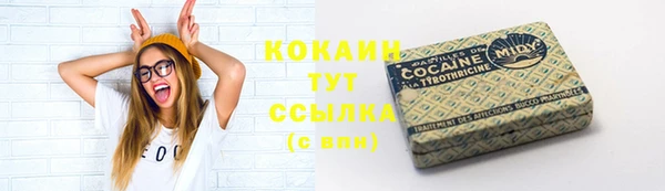 хмурый Верея