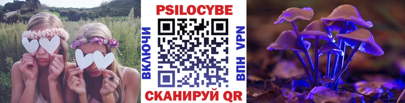 Псилоцибиновые грибы Cubensis  Сосногорск 